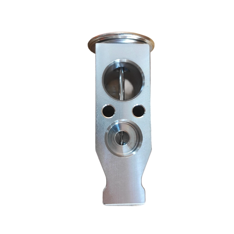 8106000A-P00 AC Expansion Valve ສໍາລັບ GWM Wingle Haval H3 H5 H6